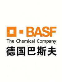 手机版本
