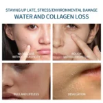 Hyaluronic Acid Facial Moisturizing Essence Capsules 0.4g*60PIC - Image 2